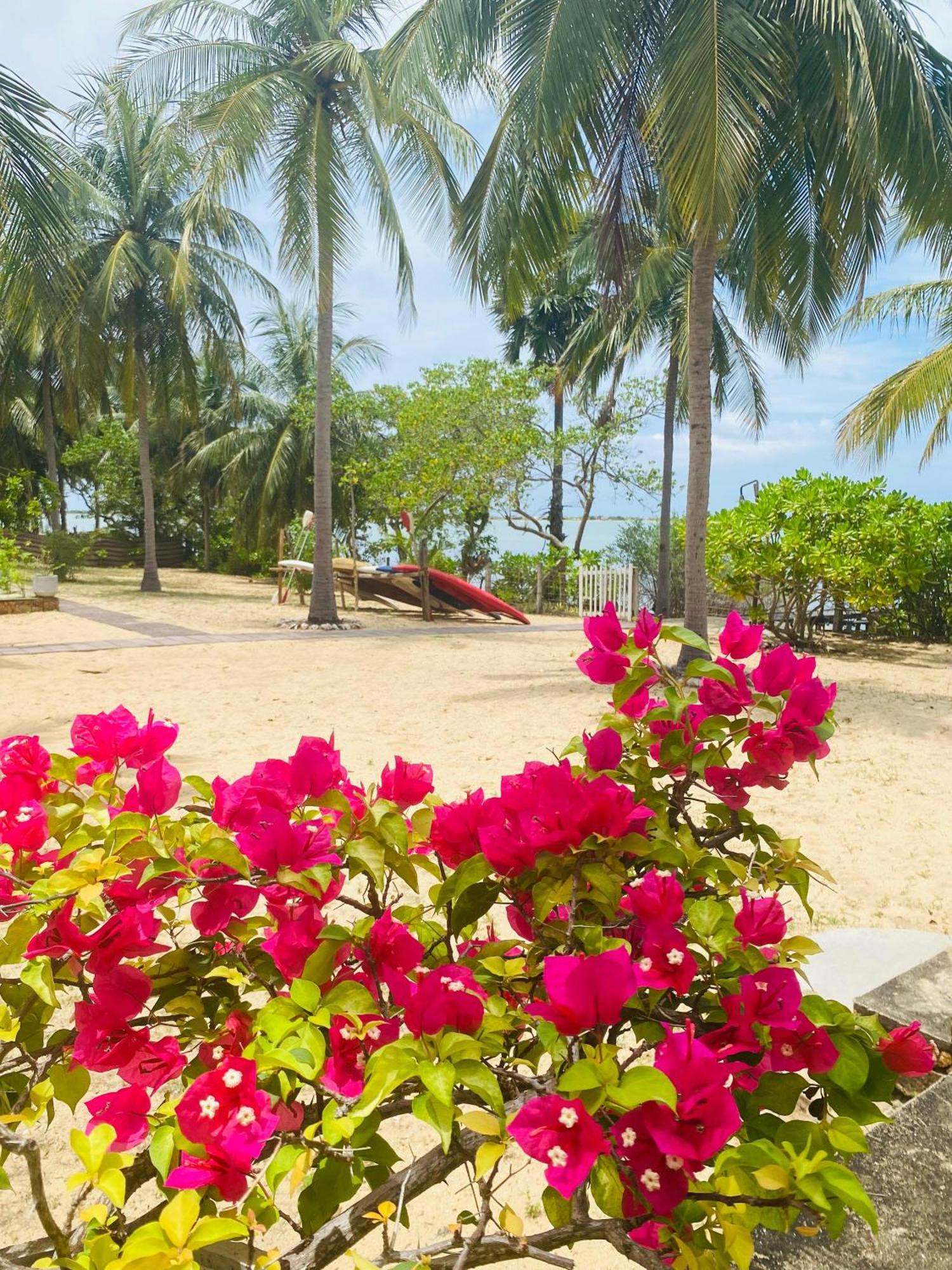 Villa Sethawadi Hotel And Kitesurf Centre Kalpitiya Exteriör bild